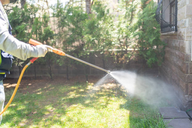 Best Residential Pest Control  in Percy, IL